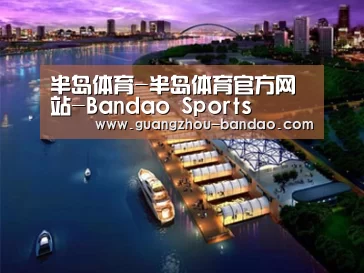 案例展示八